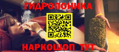 трава Краснознаменск