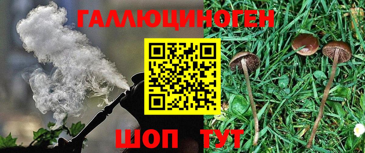 Галлюциногенные грибы Psilocybe  Псилоцибиновые грибы Psilocybine cubensis  Симферополь  Вход с VPN 