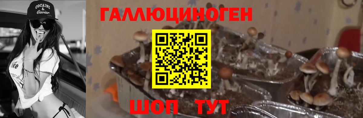 Псилоцибиновые грибы ЛСД Симферополь